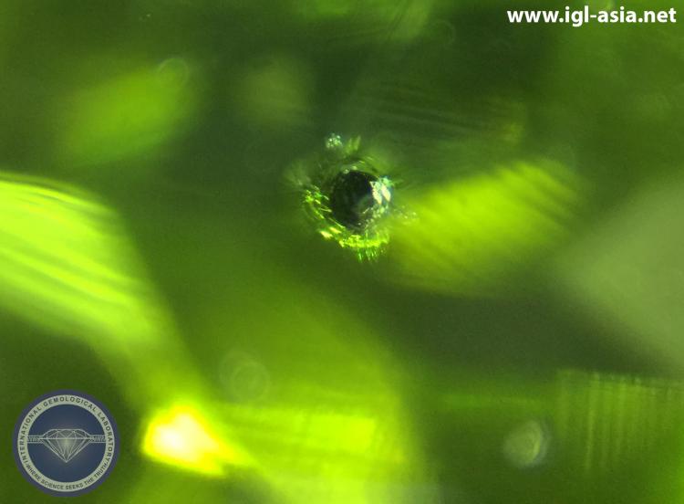 Black "Chromite" Inclusion and a visible Moderate Doubling due to high Birefringence in a Natural Peridot - Photo by: Naveed Zafar G.G., AJP (GIA).
