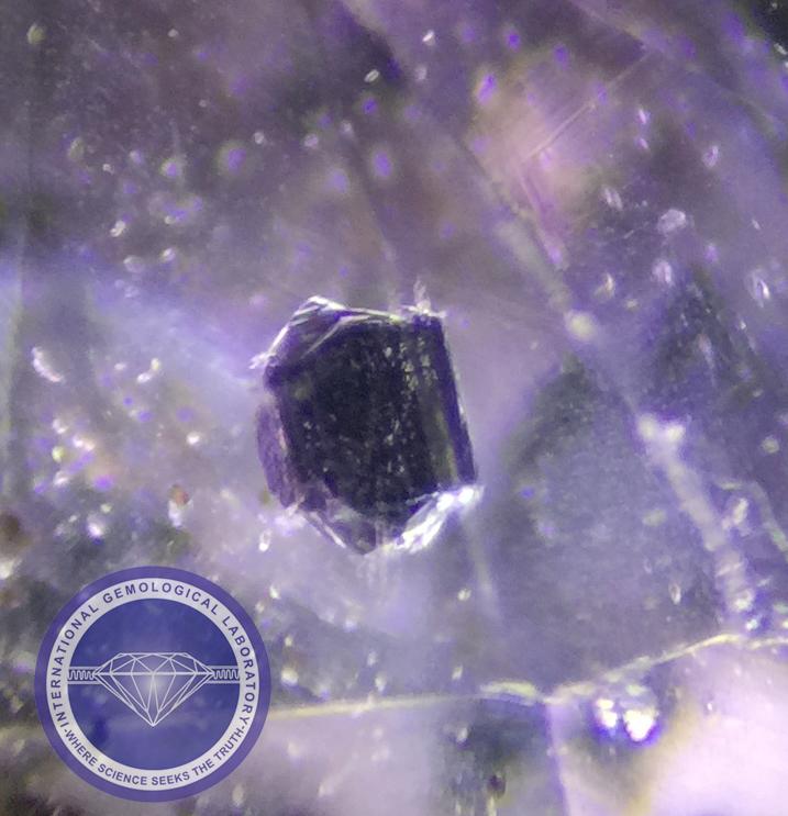 Crystal Inclusions in a Natural Untreated Sapphire from Madagascar.  - Photo by: Naveed Zafar G.G., AJP (GIA).