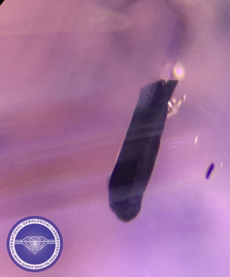 Rutile Crystal Inclusions with Color Zoning in a Natural Sapphire - Photo by: Naveed Zafar G.G., AJP (GIA).