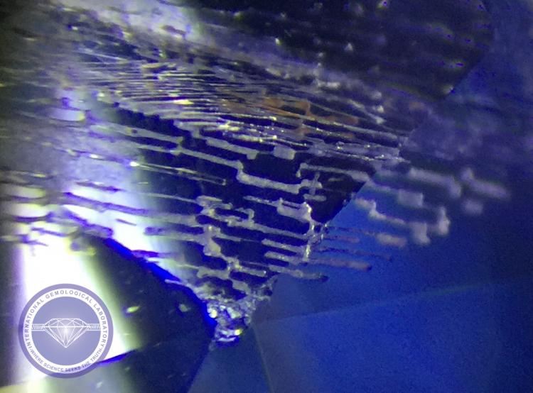Fingerprint Inclusion in an Untreated Natural Sapphire - Photo by: Naveed Zafar G.G., AJP (GIA).